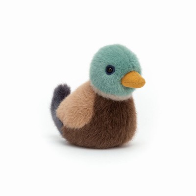 Jellycat Mallard Birds Australia | 641978GIL